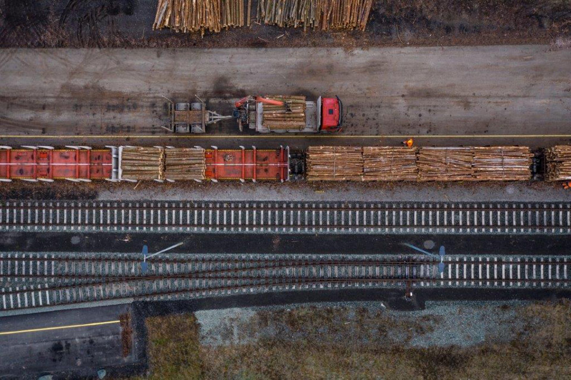 Verlagerung Holztransport vom LKW auf die Schiene