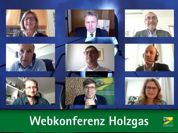Webkonferenz Holzgas