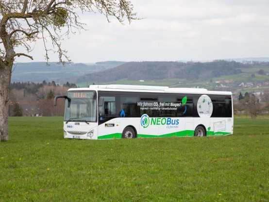 NEOBus