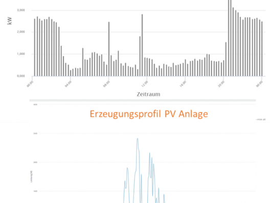 Eigenstrom2Go