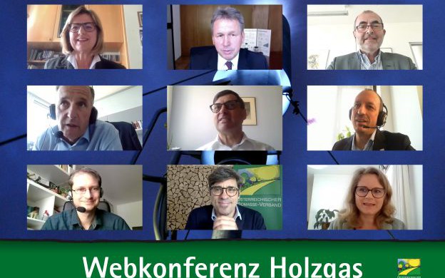 Webkonferenz Holzgas