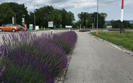 am-035_umgestaltung-der-alten-b4-neu-l1229-in-maissau-_maissauer-berg-mit-geh-radweg-1