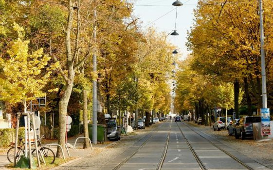 Klimafitte Pötzleinsdorfer Straße