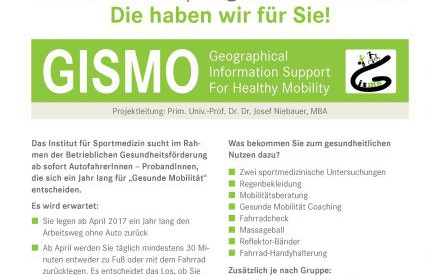 GISMO - Geographical Information Support for Healthy Mobility