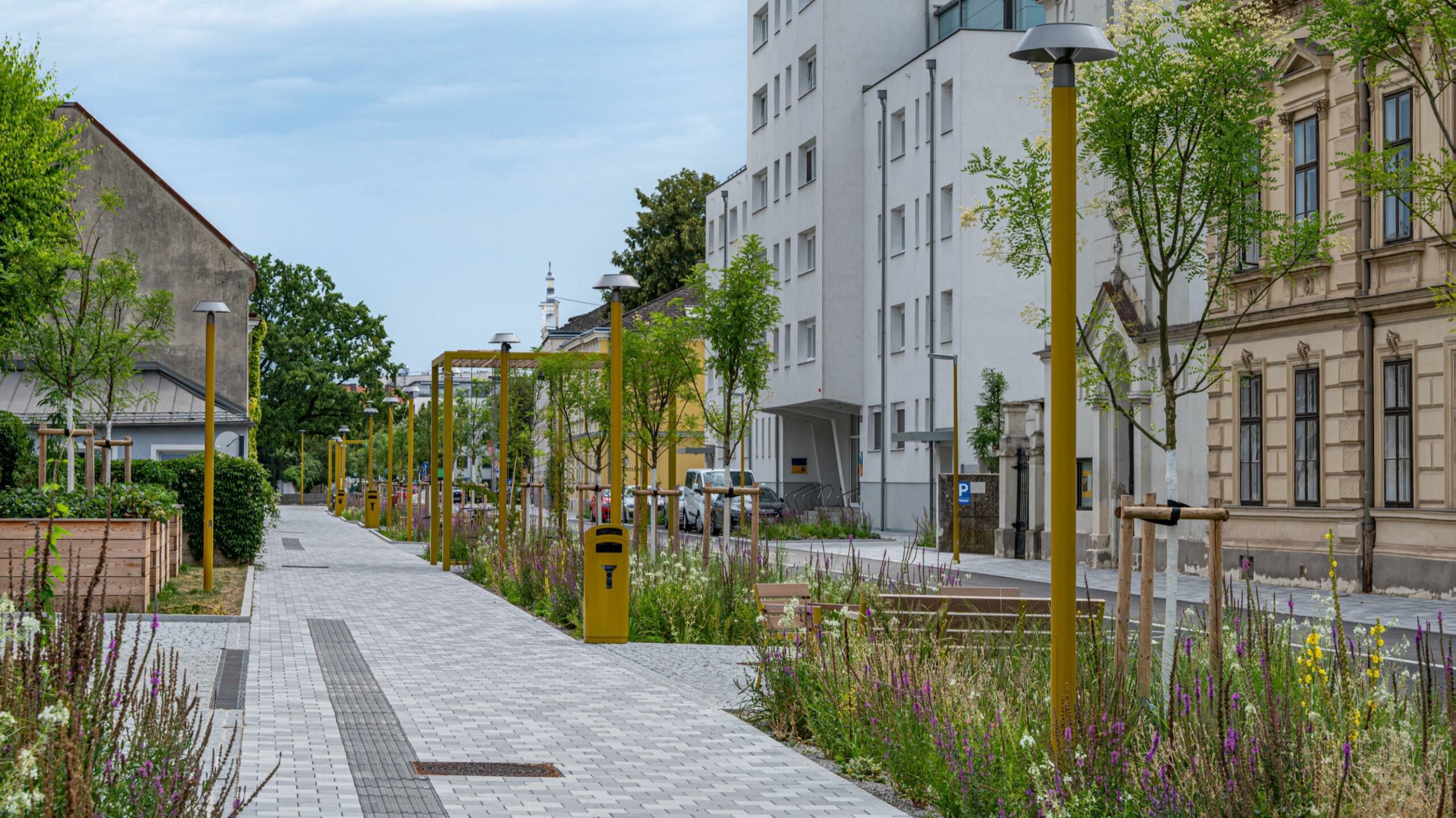 Foto Projekt "Neugestaltung Promenadenring St. Pölten"