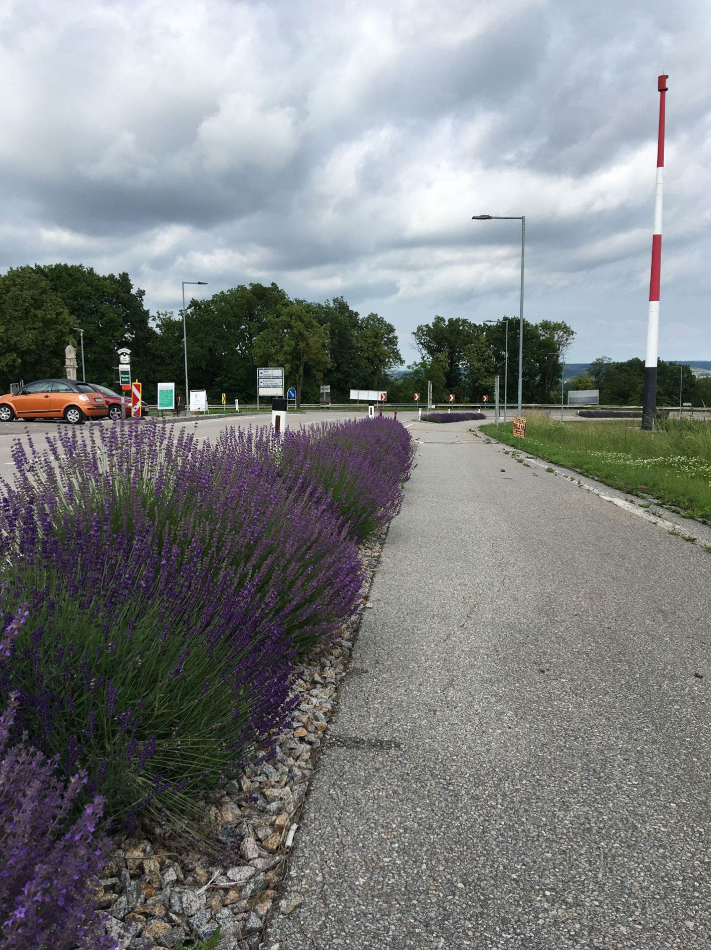 am-035_umgestaltung-der-alten-b4-neu-l1229-in-maissau-_maissauer-berg-mit-geh-radweg-1