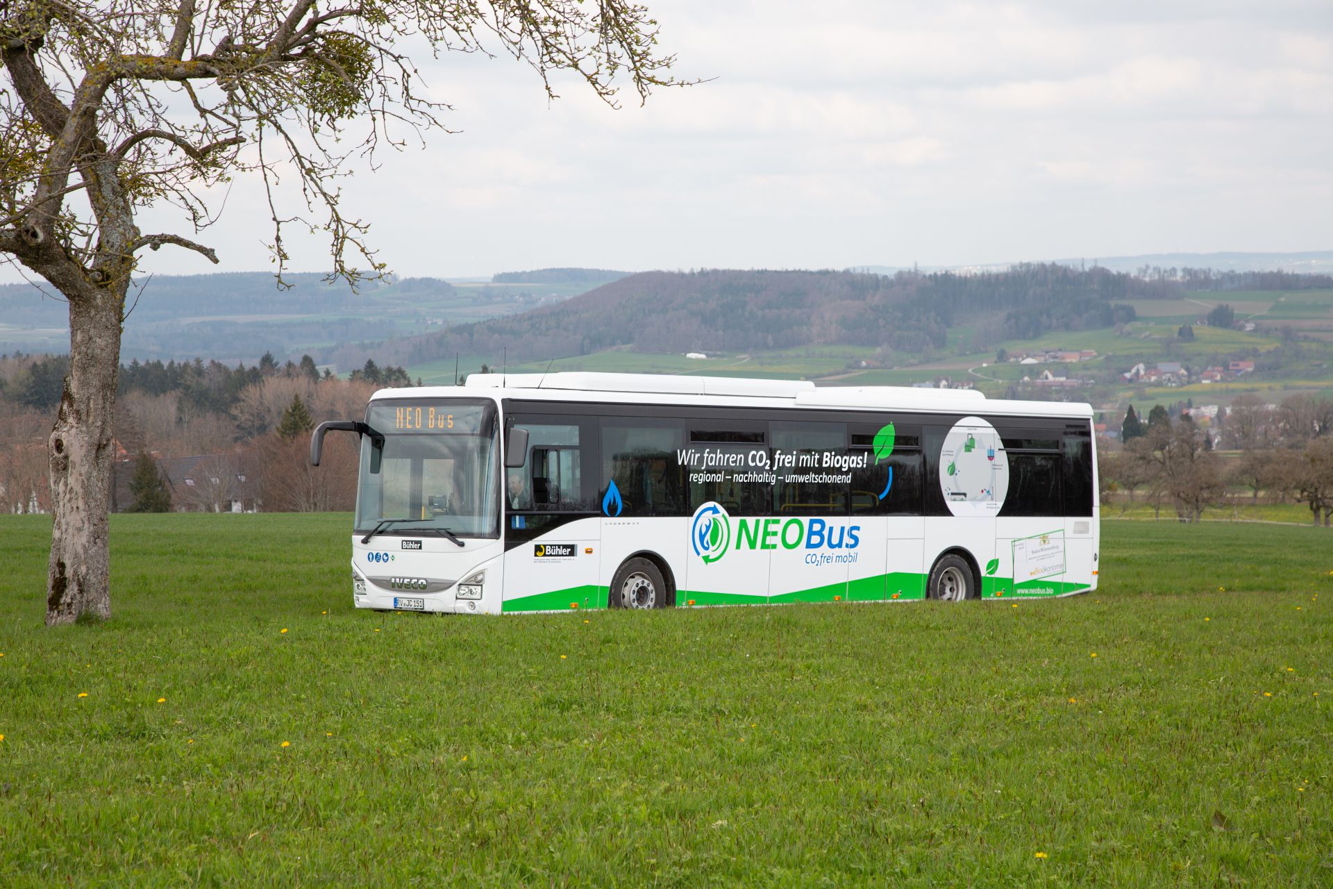 NEOBus