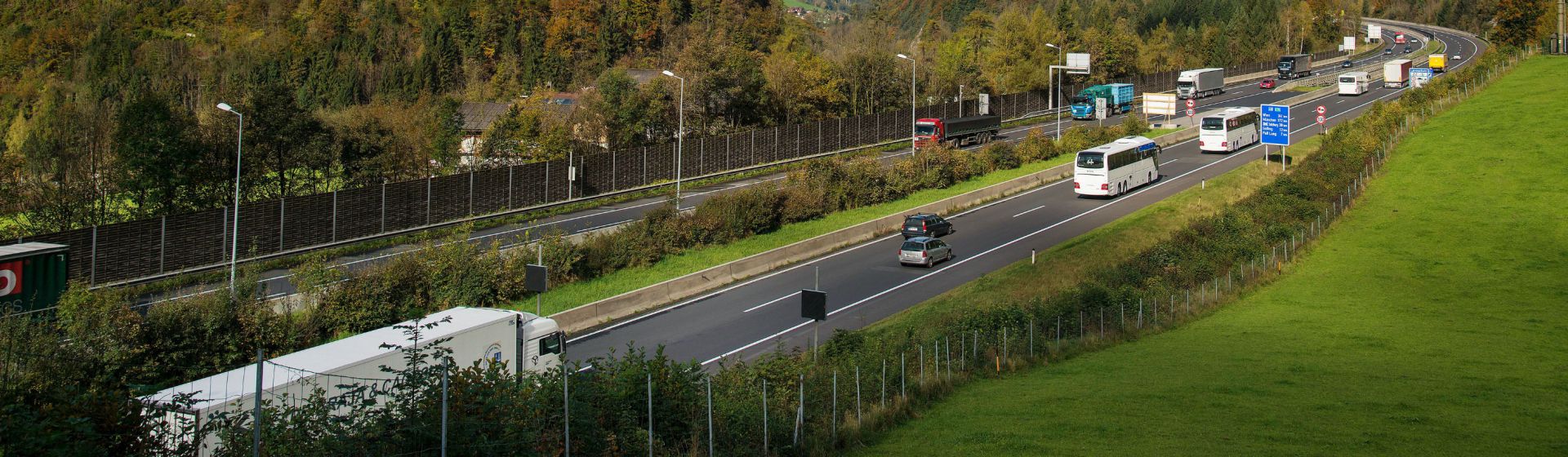 Lärmdämpfung an Verkehrswegen durch Bewuchsstreifen